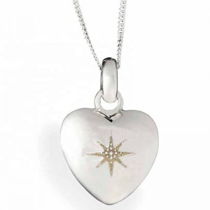 Kremační náhrdelníky 925 šterlinků stříbrného srdce přívěsek kubický zirkonový přívěsek náhrdelník hvězda srdce přívěsek